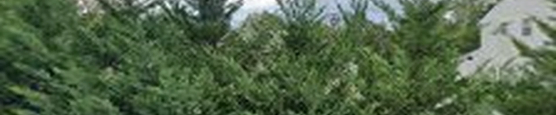 Forestville Contractors Inc.