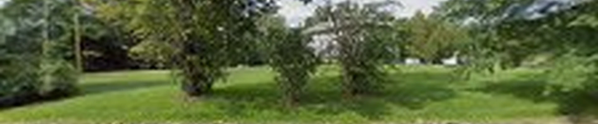 Tolman Home Solutions, LLC