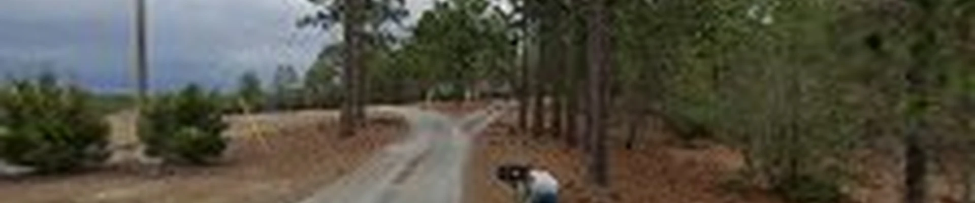 Cole Excavating and Construction, LLC