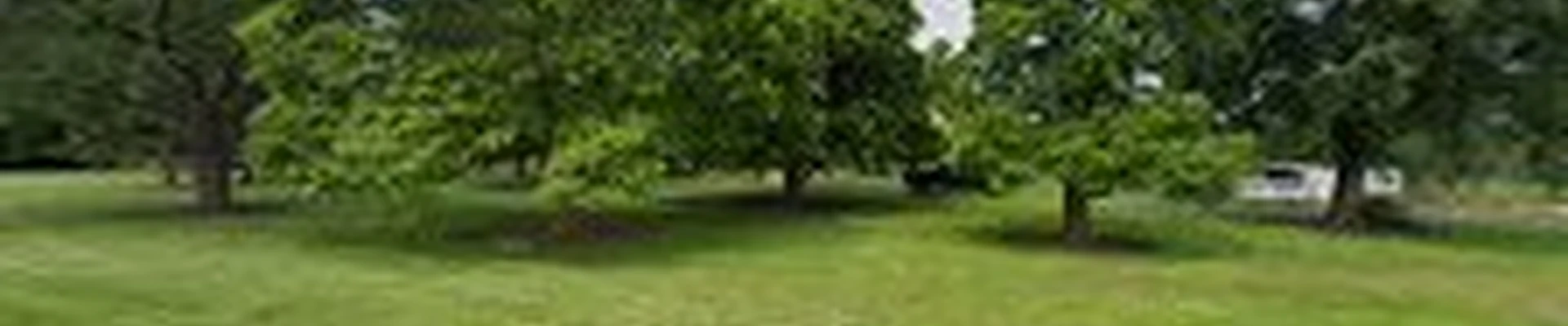 Sinnott Landscape Const.