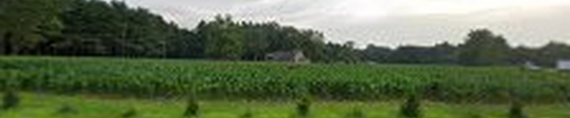 Solitro Property Solutions