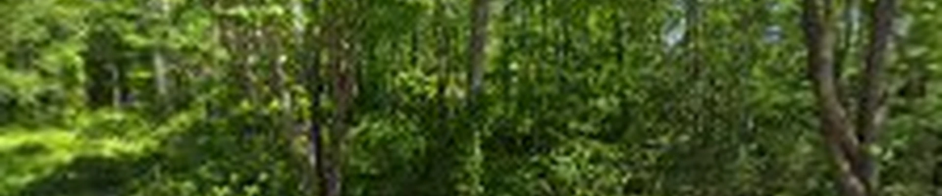 Nardelli Builders, Inc.
