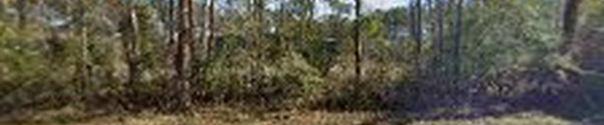 Coast Contracting Group LLC