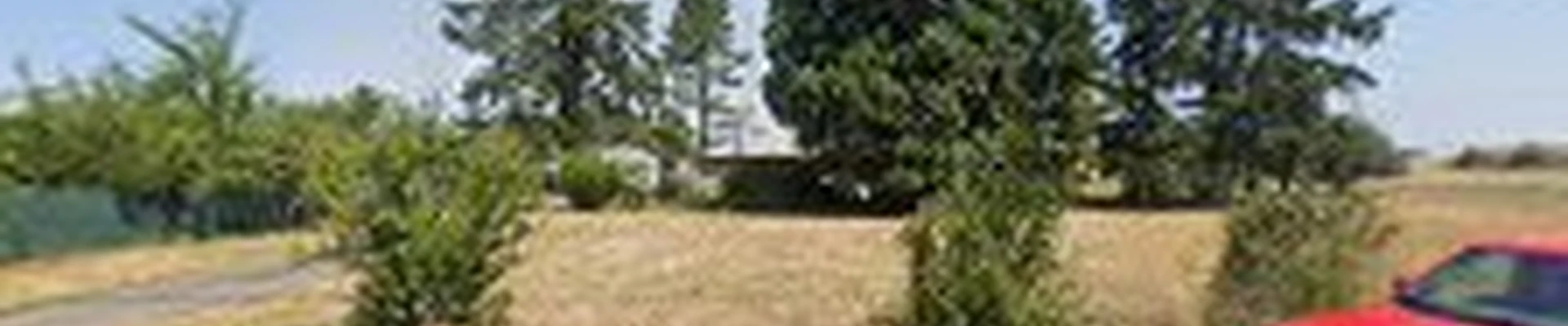 Wolf Construction & Restoration LLC