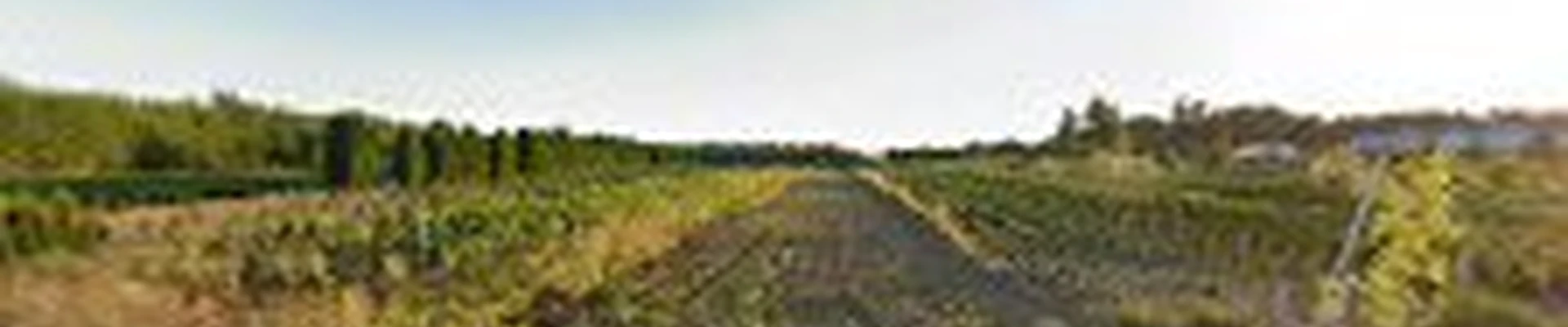 Tierra Dura Construction