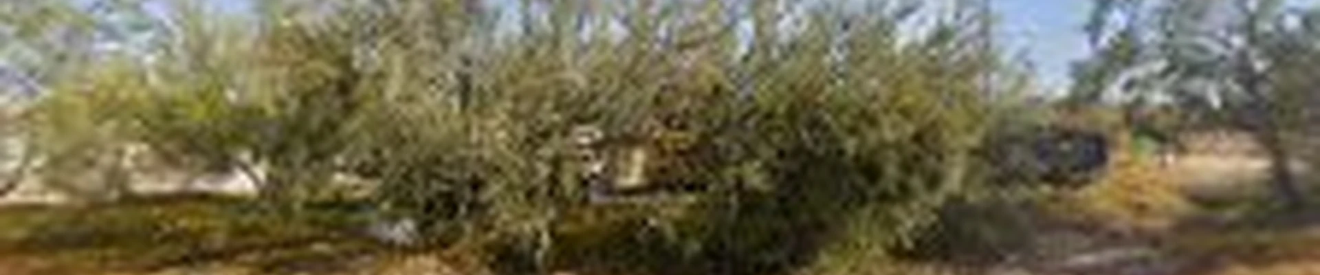 Super Structures General Contractors, Inc.