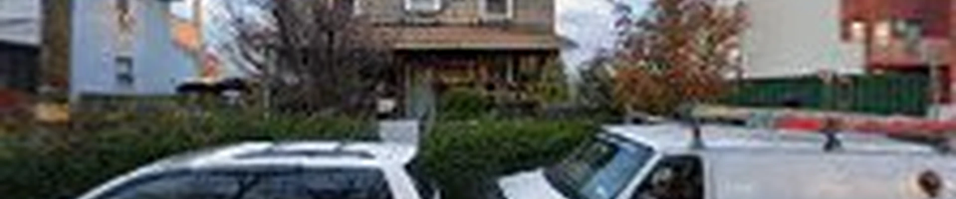 Santana landscaping