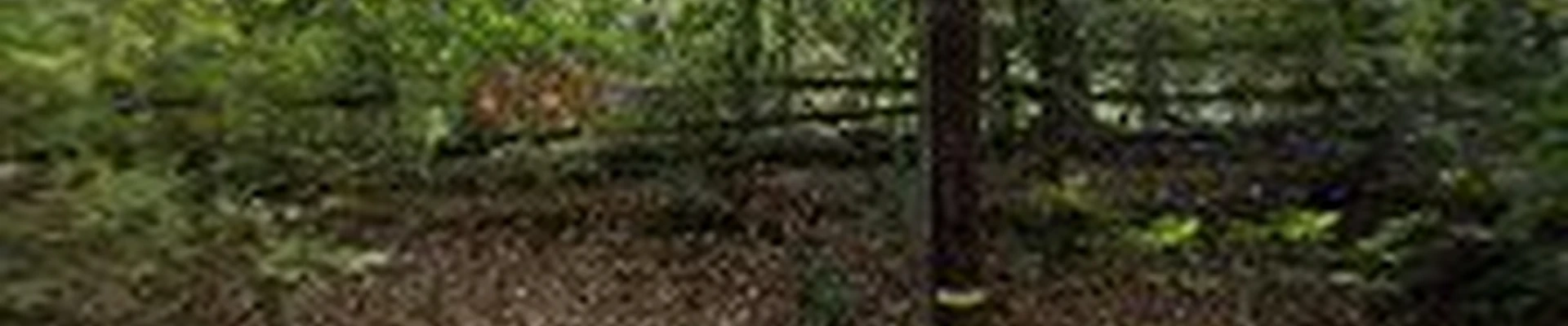 Skytop Landscaping LLC