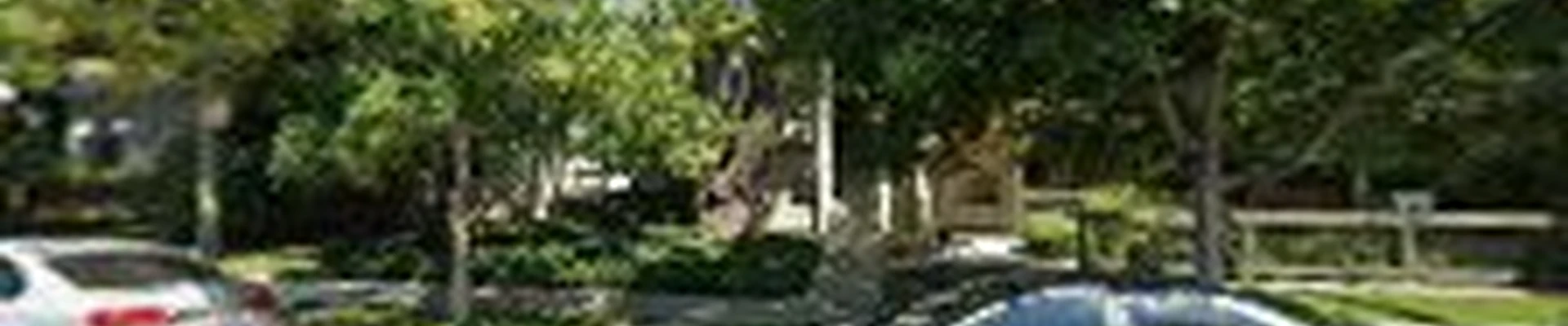 Guzman Landscaping Maintenance