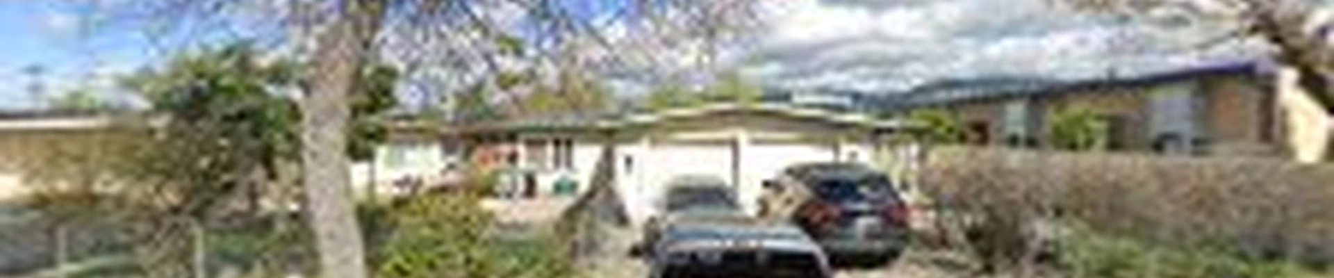 Paramount Landscaping