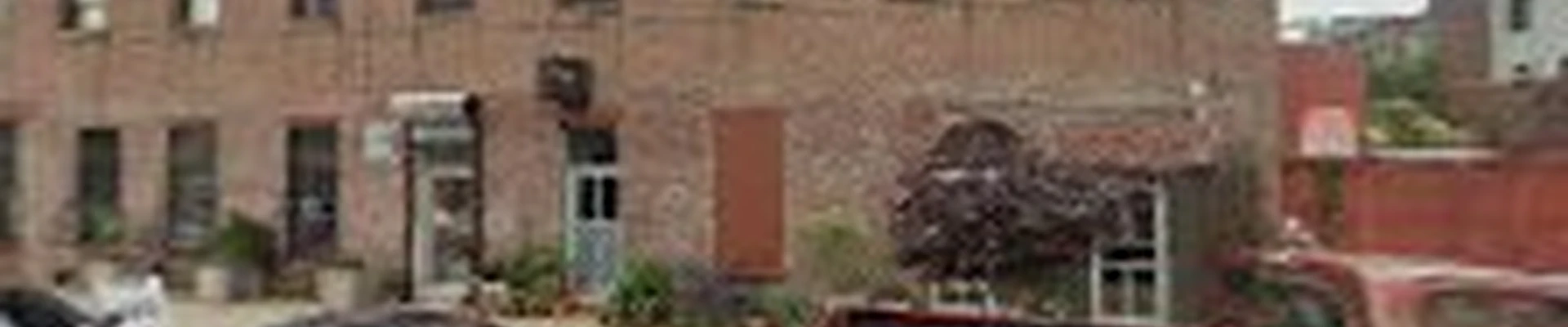 Staghorn NYC Landscape Design