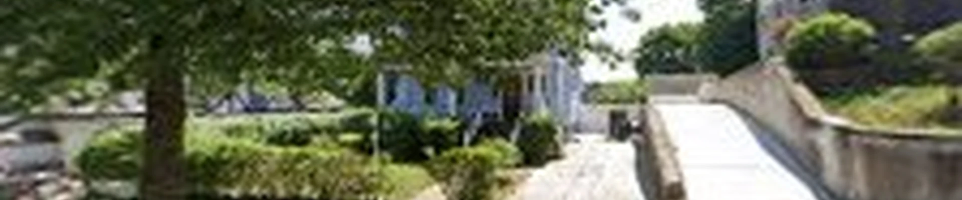 Luis Garcia landscaping