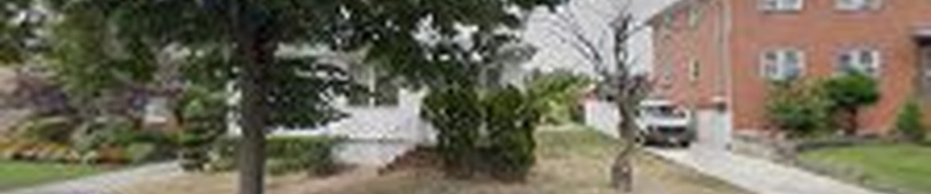 Frank Ramos Lawn Care