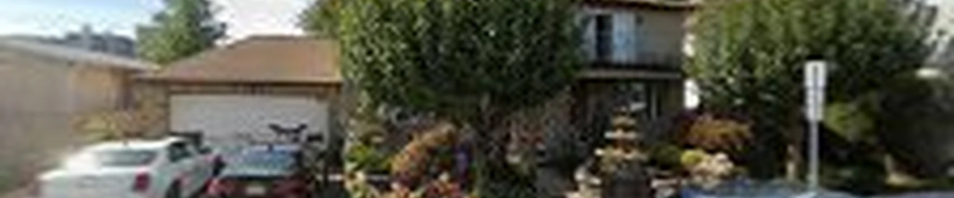 Spano and Sons Landscape
