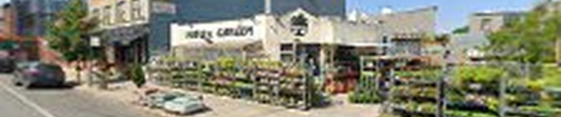 Natty Garden