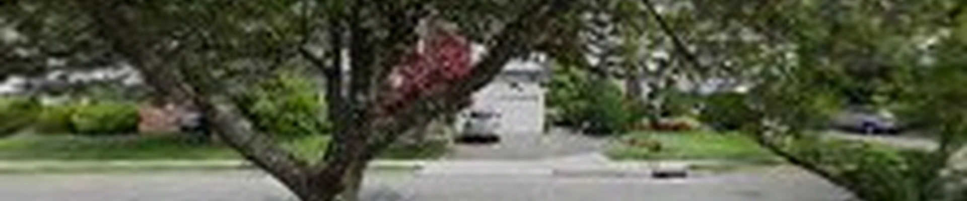 The Cutting Edge Landscaping