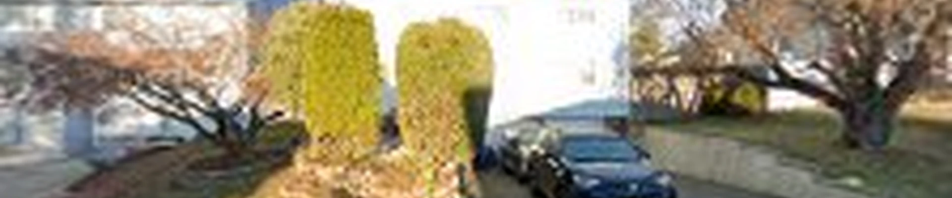 Wf landscaping llc