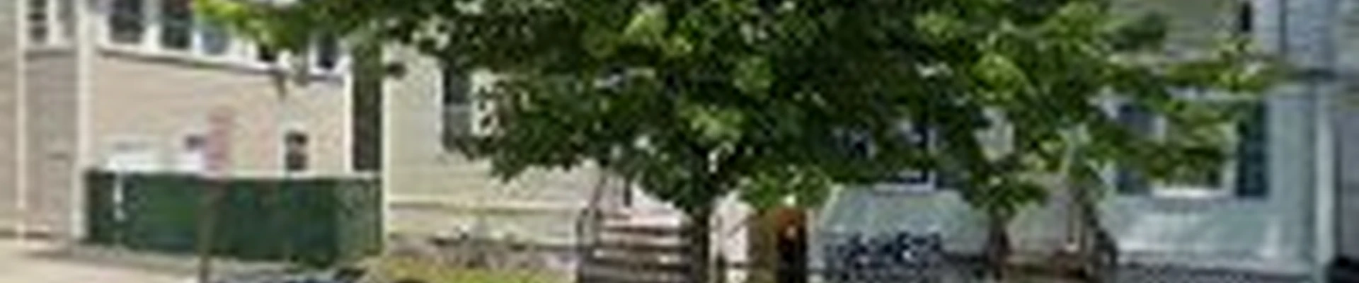 Willy and Luis General Construction Landscaping and Tree Service