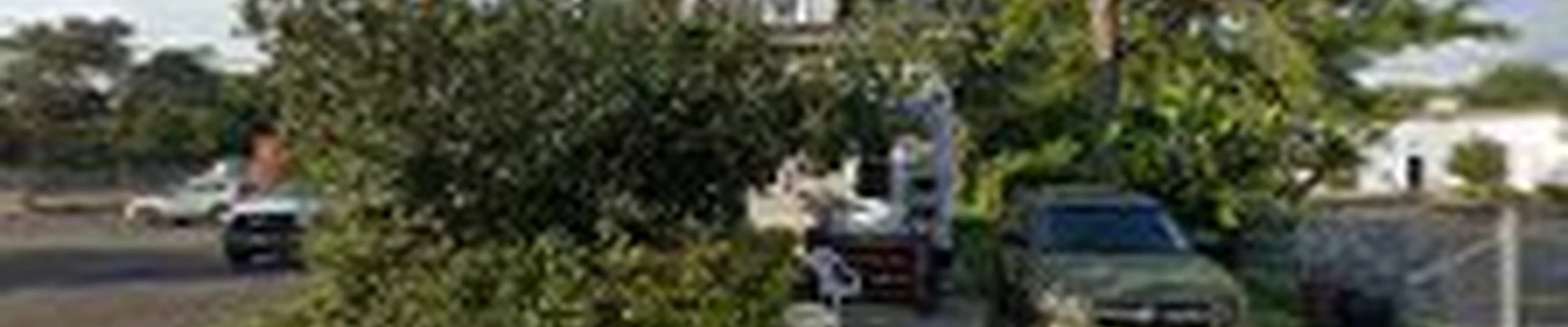 Village Landscaping and Contracting