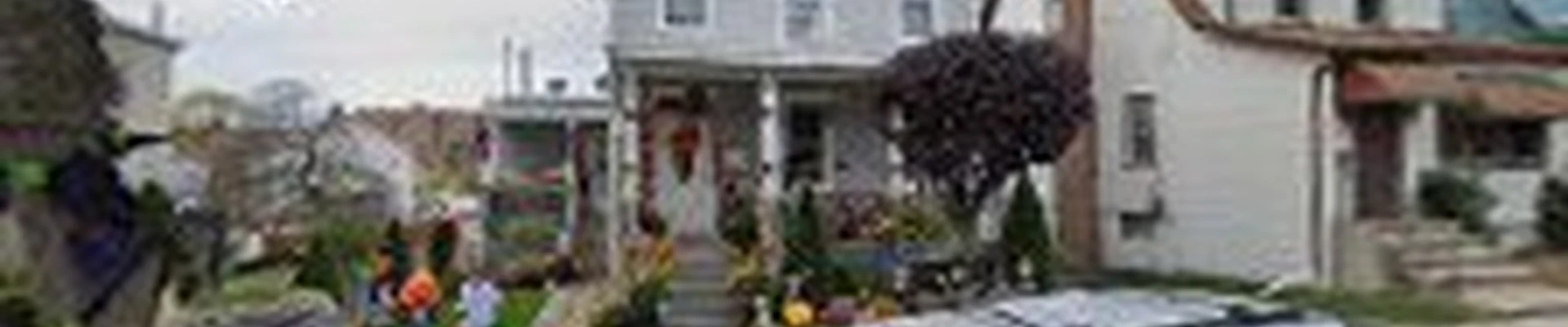 Raul Landscaping & Handyman LLC