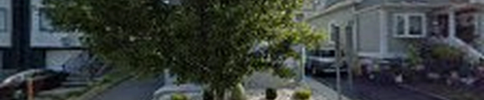 Dreamland Landscaping LLC