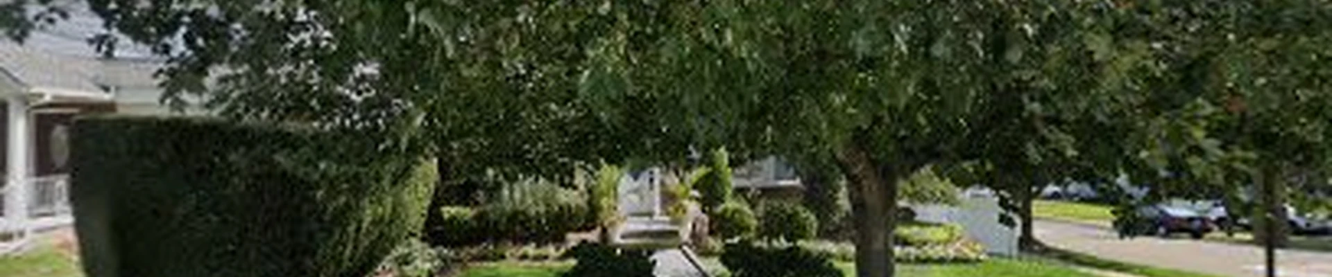Campion Landscaping Back