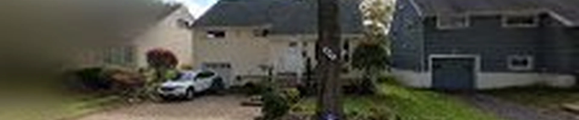Happy Trees by MGM Tree Service & Landscaping LLC