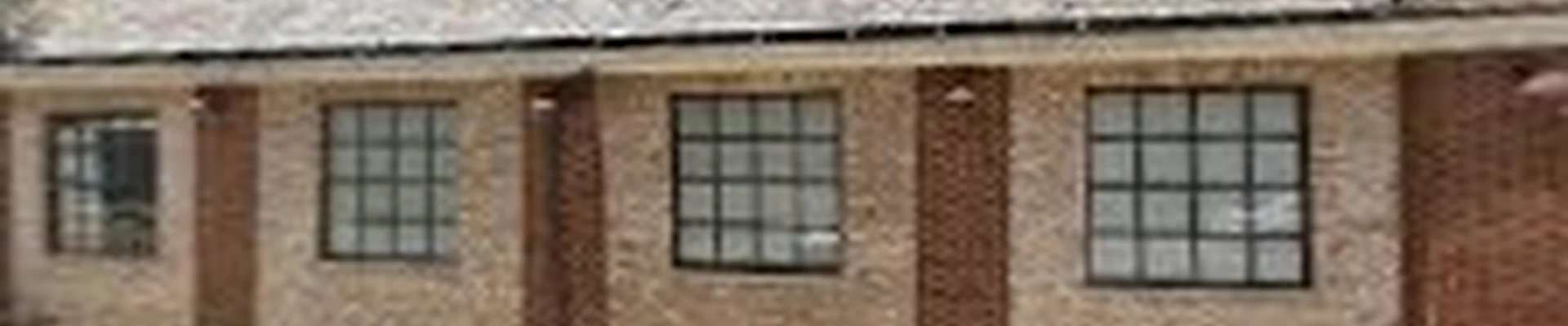 Professional Landscaping & Construction LLC