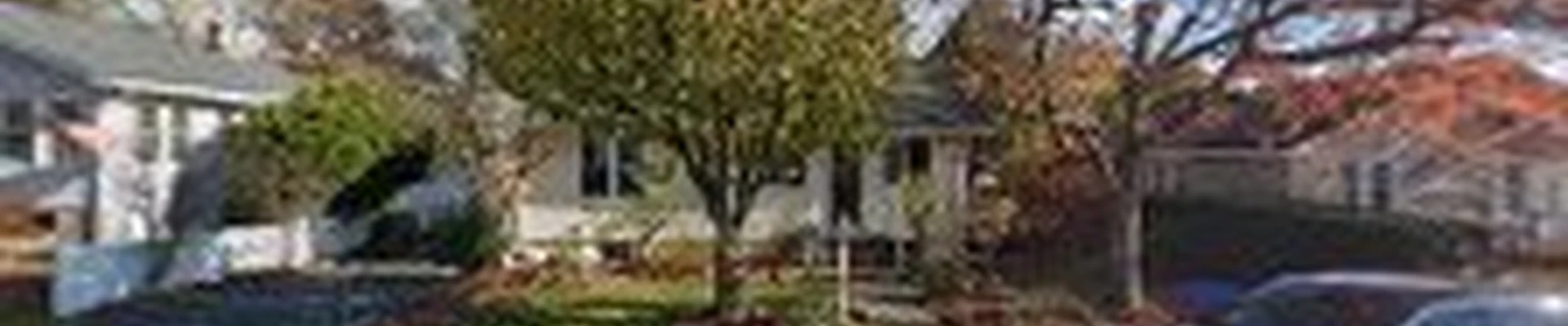 BellaVista Landscaping