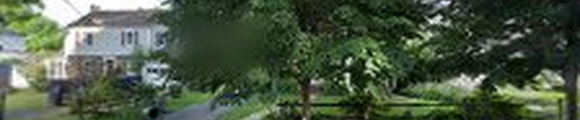 Arbor Ace Tree Service