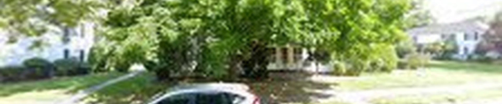 Perla Lawn Maintenance & Landscaping