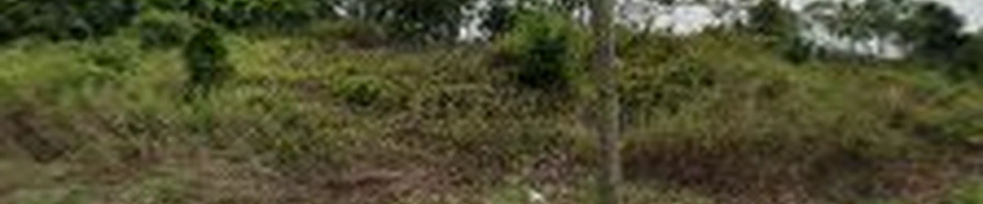 Valley Ridge Landscaping