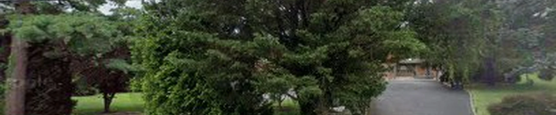 Mastrogiacomo landscaping