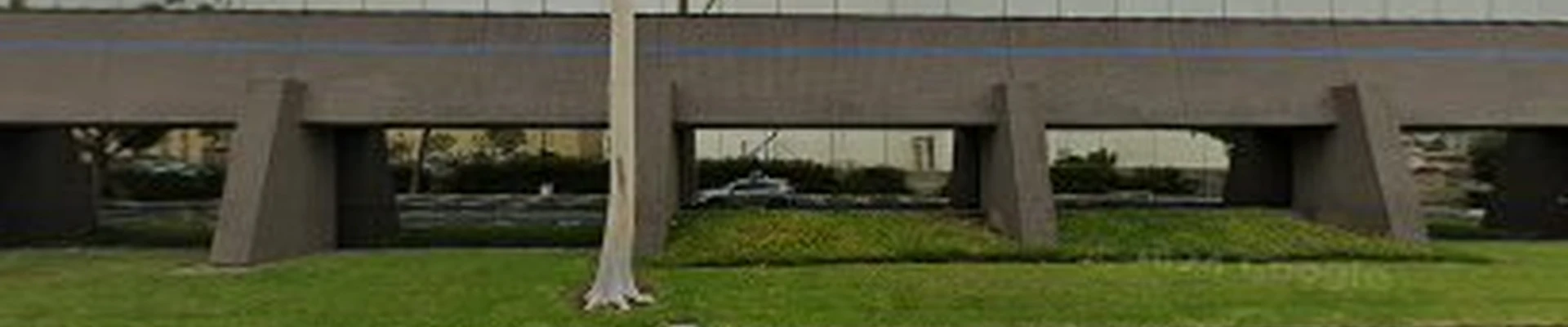 Torrance Landscapers