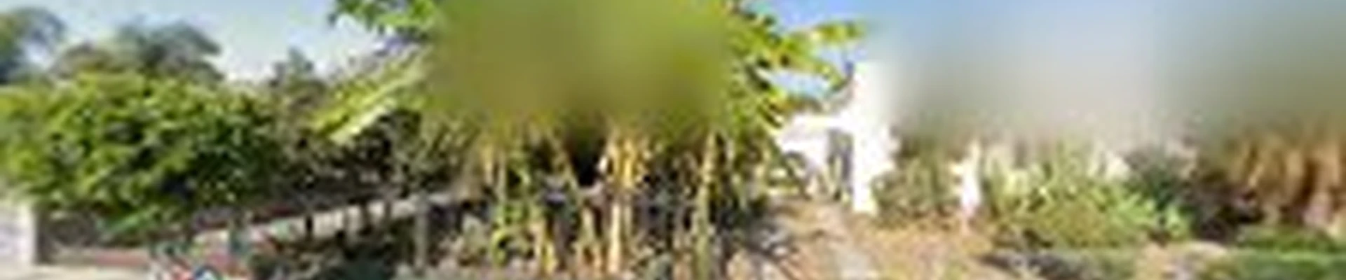 Esparza Landscaping Services