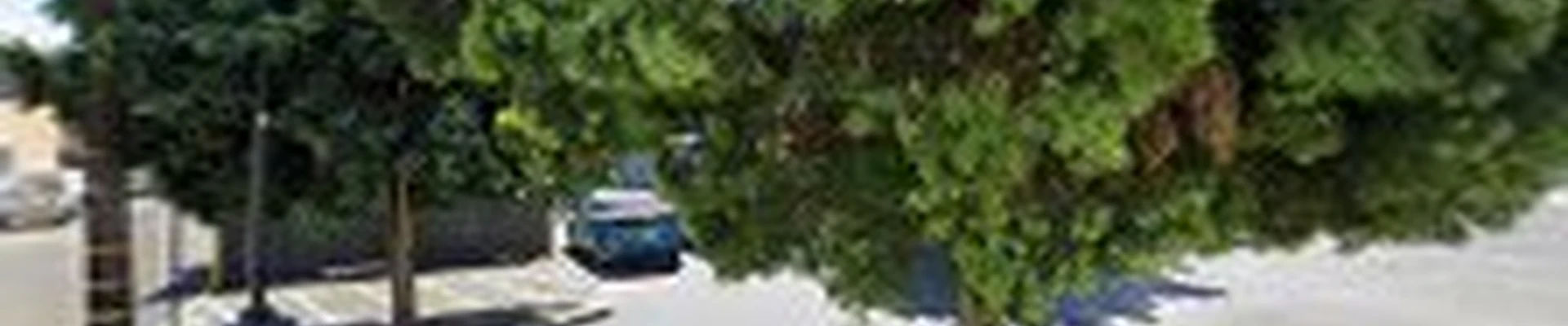 Ruelas Landscaping Inc.