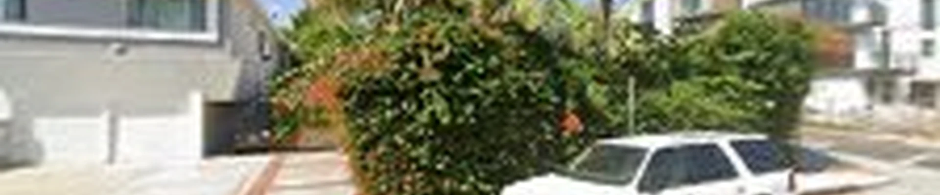 Salinas Landscaping & Tree Preservation Inc.
