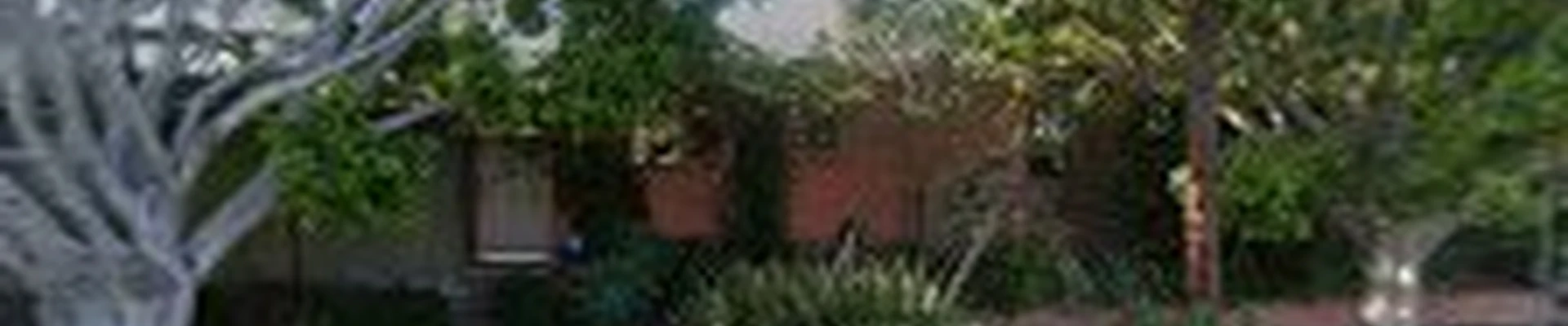 Urban Oasis Landscape Design
