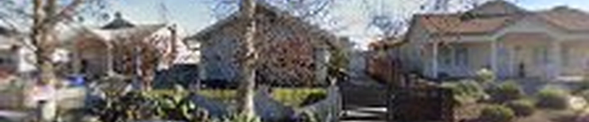 The Landscaping Contractor