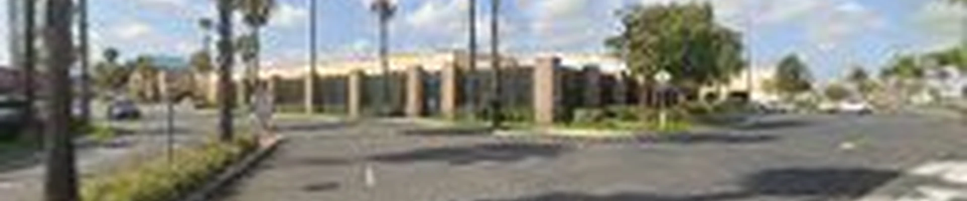 Walmart Garden Center