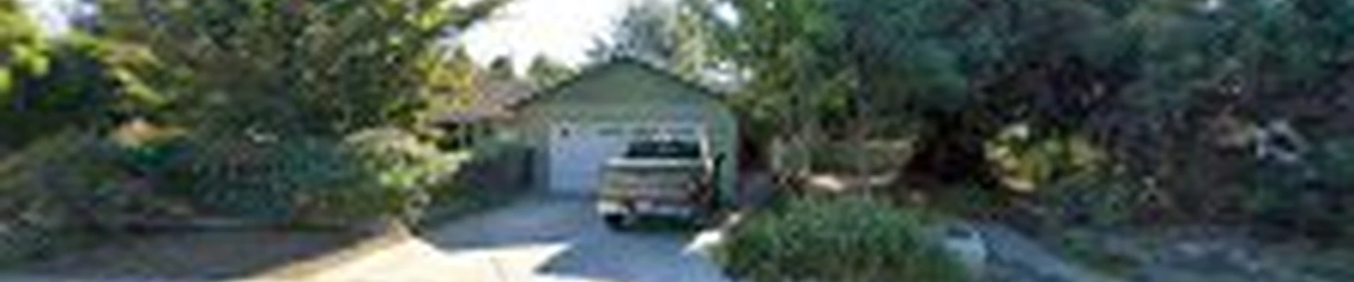 Native Revival Landscaping