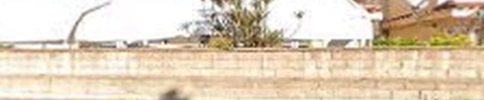 Sandoval's Landscaping Inc