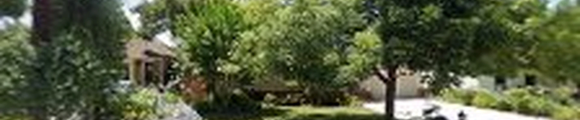 Meier Brothers Landscaping