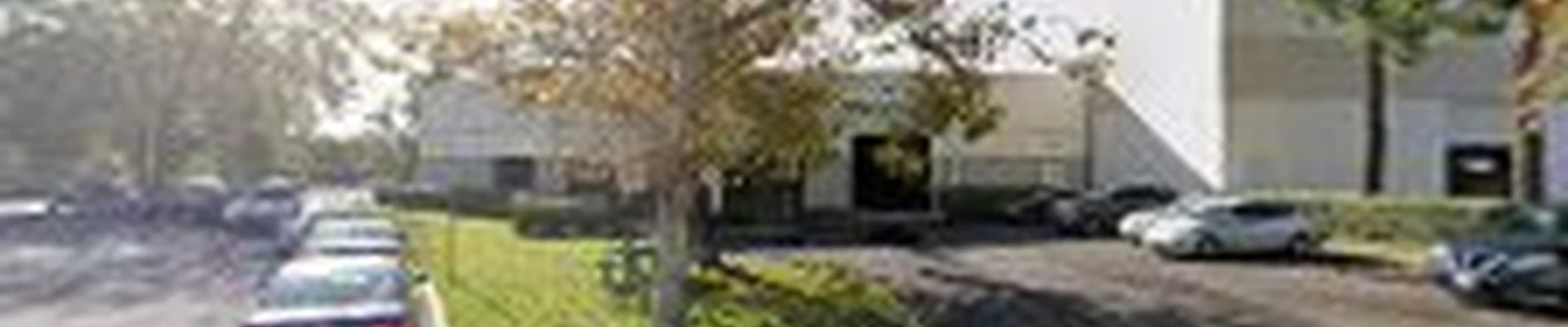 TruGreen Lawn Care