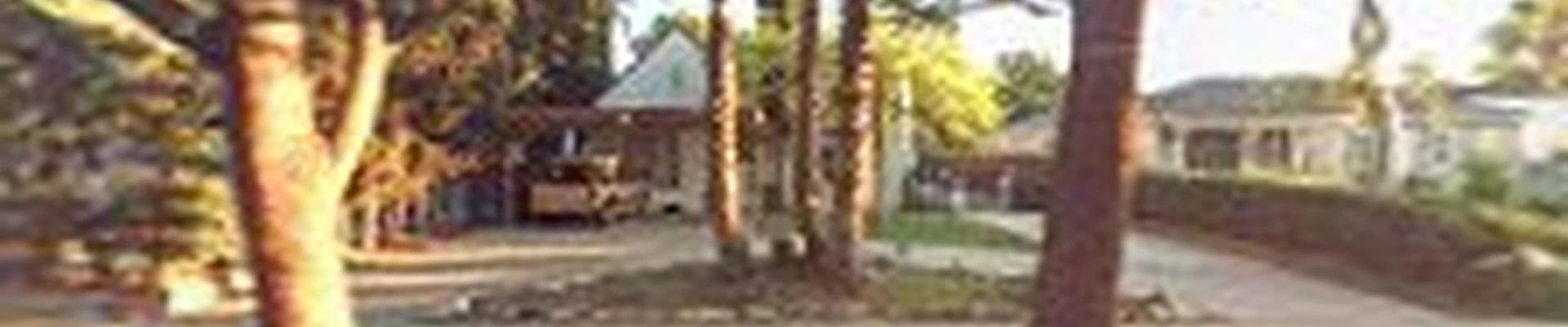 LA Native Landscaping