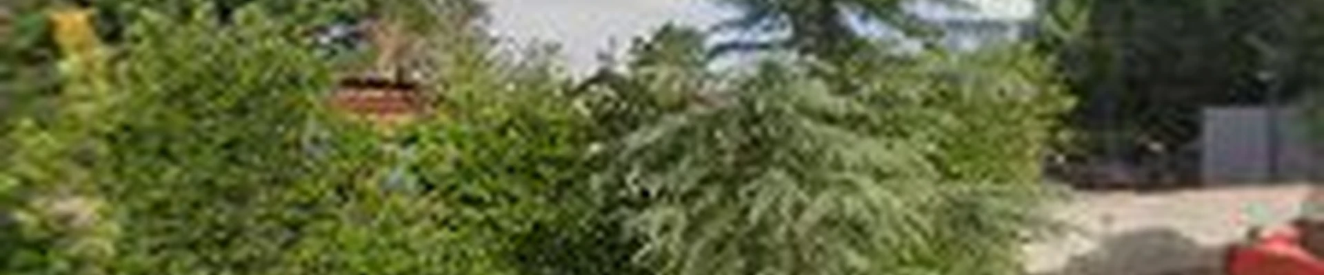 General Native Green LLC
