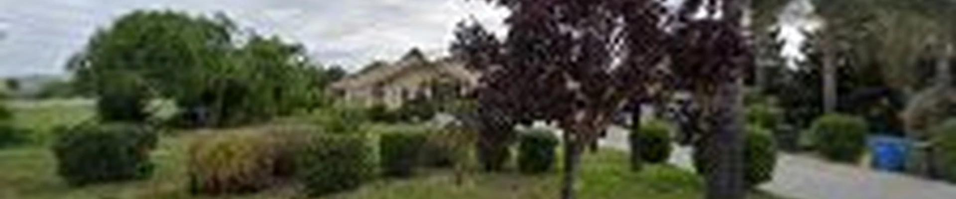 Daniel's Landscape
