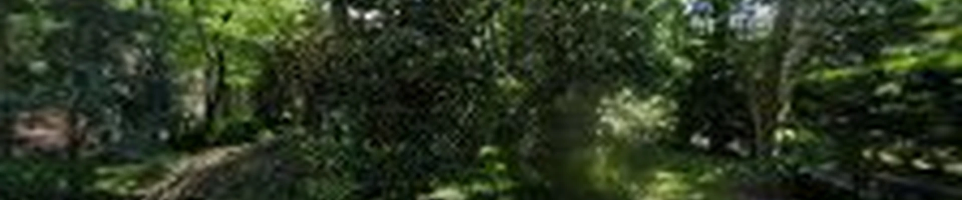 Landscaping By Craig Inc