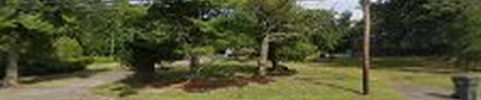 Bongarzone's Landscaping Inc.