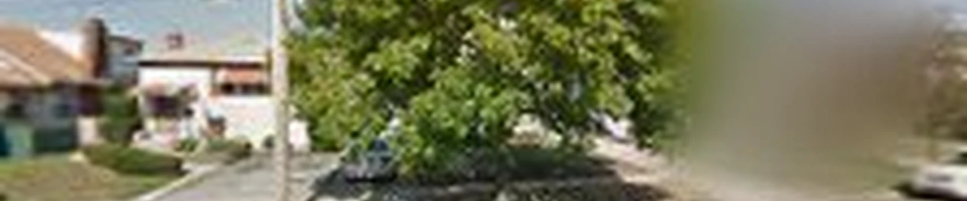 MCJ LANDSCAPE & DESIGN